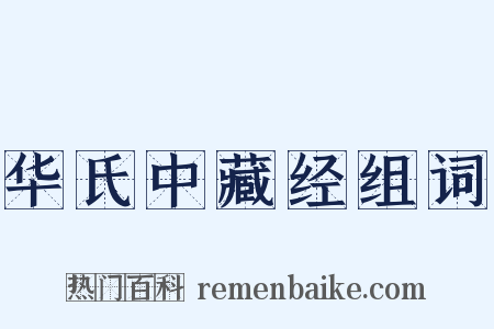 华氏中藏经组词是什么意思的图片